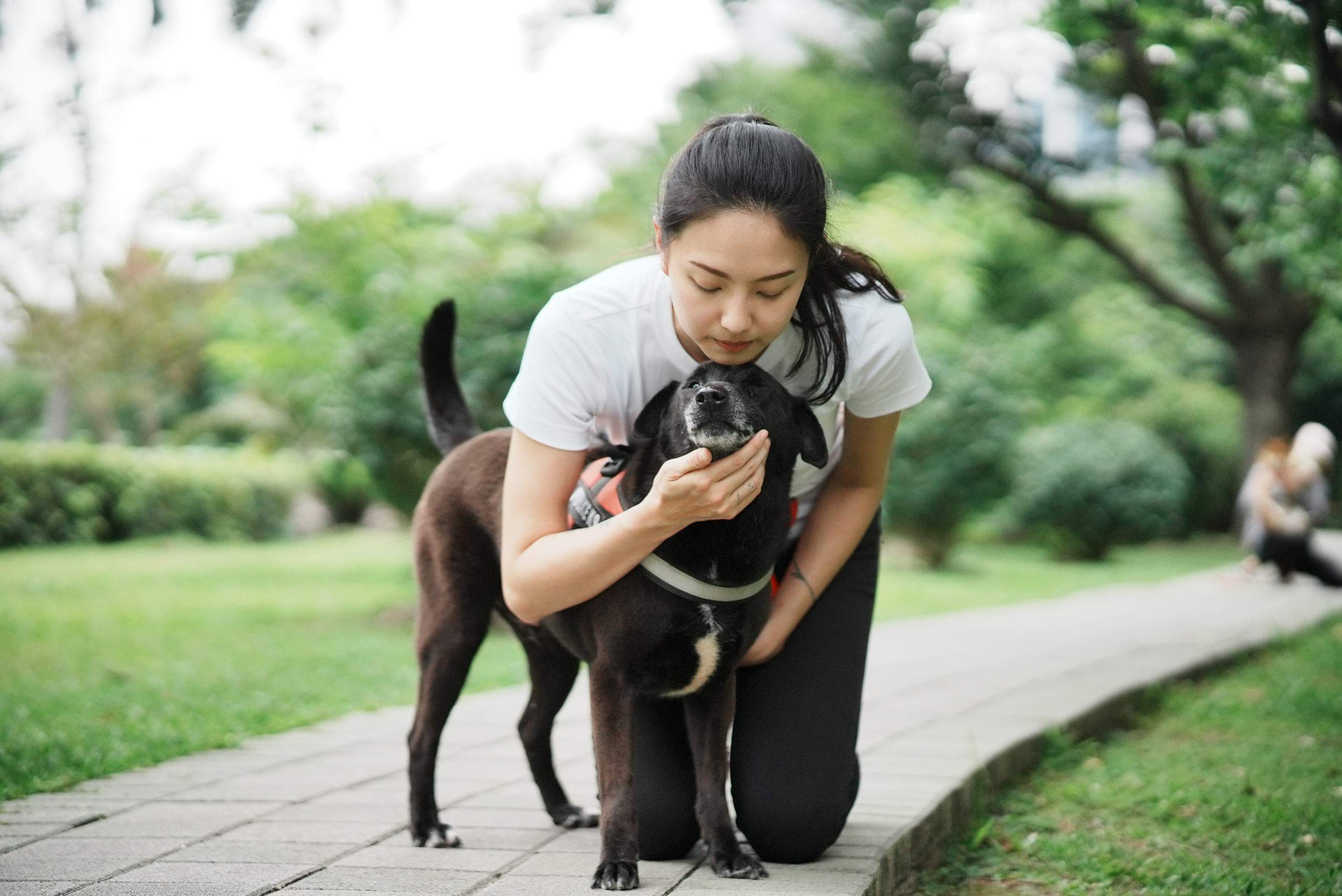 寵物保姆與遛狗師副業實戰：低門檻高需求的假日副業完整指南